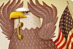 IRS Eagle