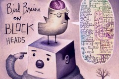bird brains